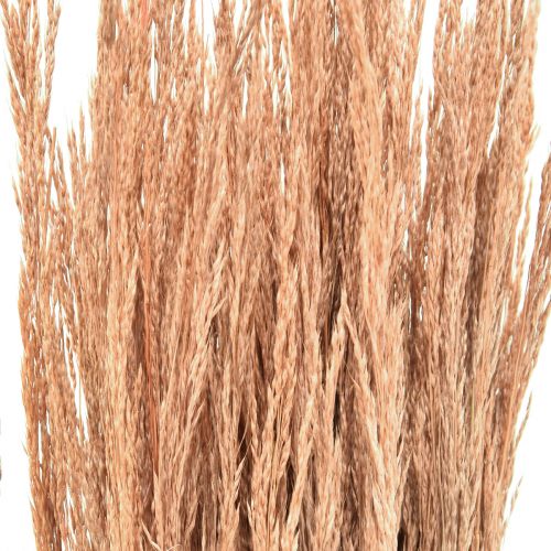 Artículo Hierba Doblada Roja Agrostis Hierba Seca Rojo Marrón 65cm 80g