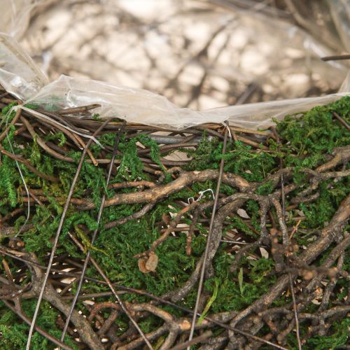 Artículo Maceta redonda de musgo con lámina Ø20cm H7cm