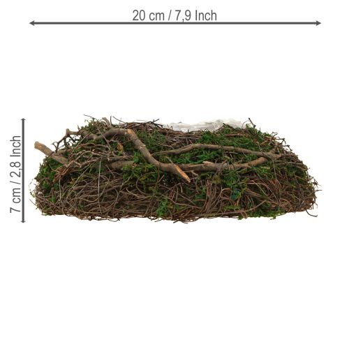 Artículo Maceta redonda de musgo con lámina Ø20cm H7cm