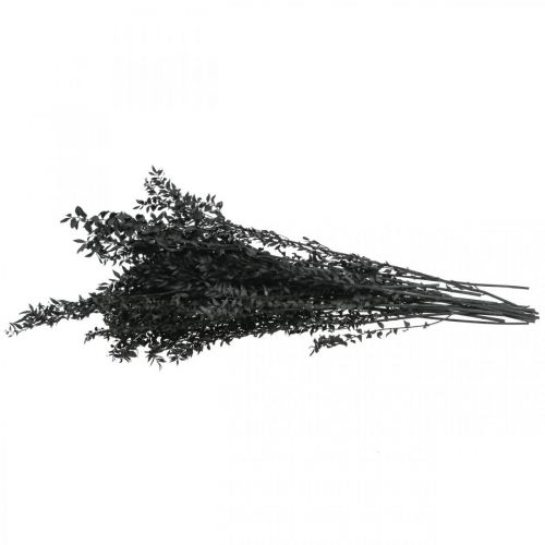 Floristik24 Ramas de Ruscus ramas decorativas flores secas negro 200g