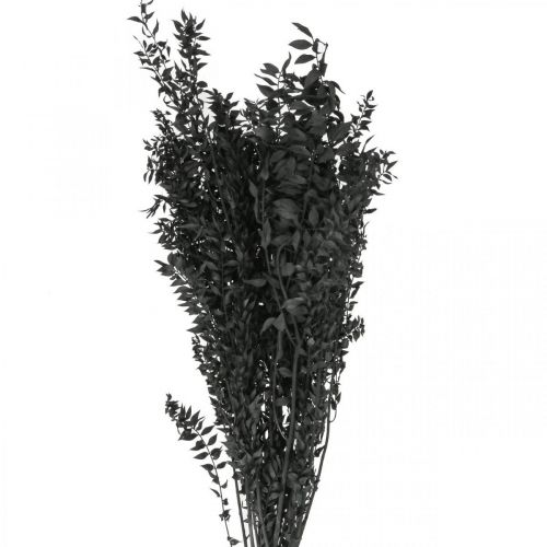 Floristik24 Ramas de Ruscus ramas decorativas flores secas negro 200g