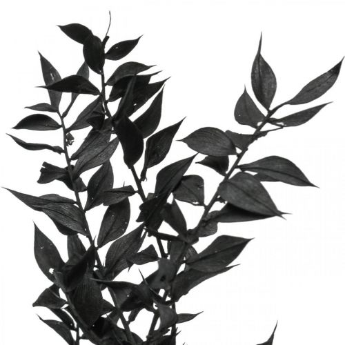 Floristik24 Ramas de Ruscus ramas decorativas flores secas negro 200g