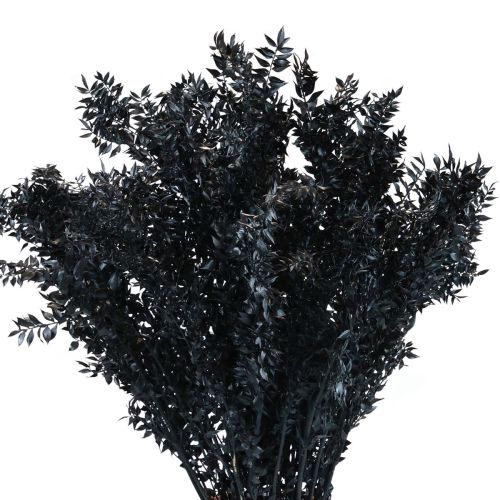 Ruscus ramas decorativas secas Ruscus Negro 1kg