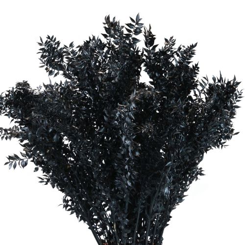 Floristik24 Ruscus ramas decorativas secas Ruscus Negro 1kg