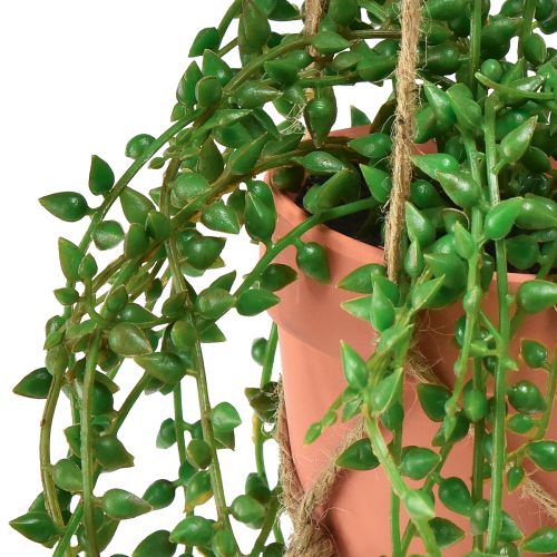 Floristik24 Suculentas artificiales planta artificial colgante en maceta 34cm