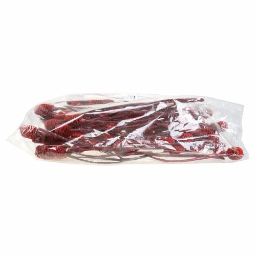 Artículo Ramas decorativas Sabulosum rojo esmerilado 4-6 25 piezas