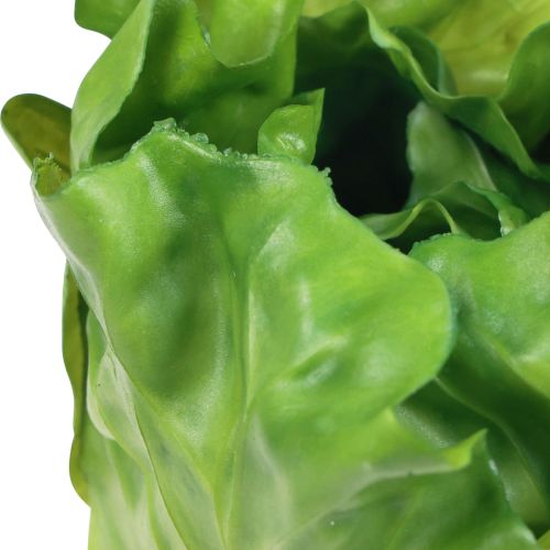 Floristik24 Chupete decorativo ensalada cabeza de lechuga verde 14cm