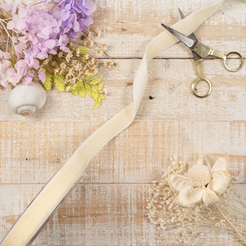 Cinta de regalo, elegante cinta de terciopelo para regalos y flores, 20 mm, 10 m | Floristik24.es