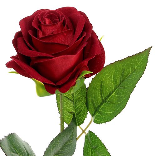 Artículo Terciopelo rosa rojo 65cm 6pcs