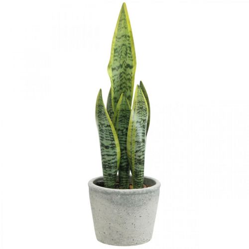 Floristik24 Arco de cáñamo artificial, planta verde en maceta, Sansevieria H39cm Ø12cm