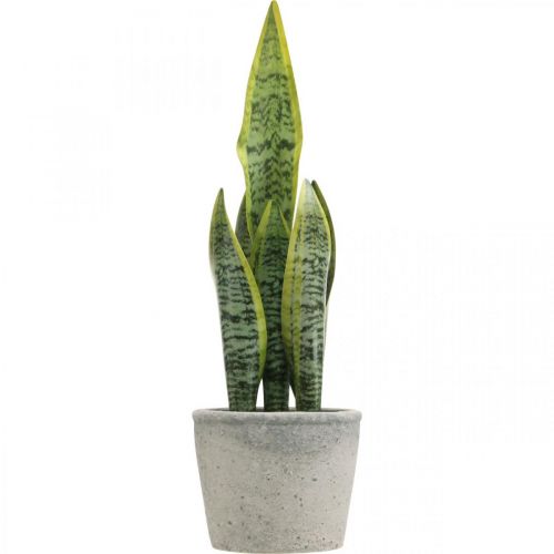 Floristik24 Arco de cáñamo artificial, planta verde en maceta, Sansevieria H39cm Ø12cm