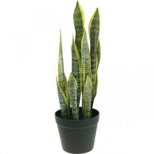 Floristik24 Sansevieria, flor artificial, arco de cáñamo en maceta H50cm Ø14cm