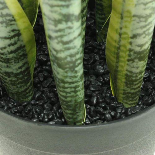 Artículo Sansevieria, flor artificial, arco de cáñamo en maceta H50cm Ø14cm