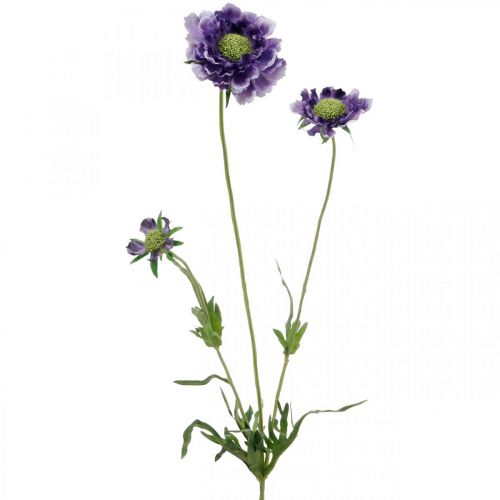 Floristik24 Scabious flor artificial púrpura H64cm manojo con 3pcs