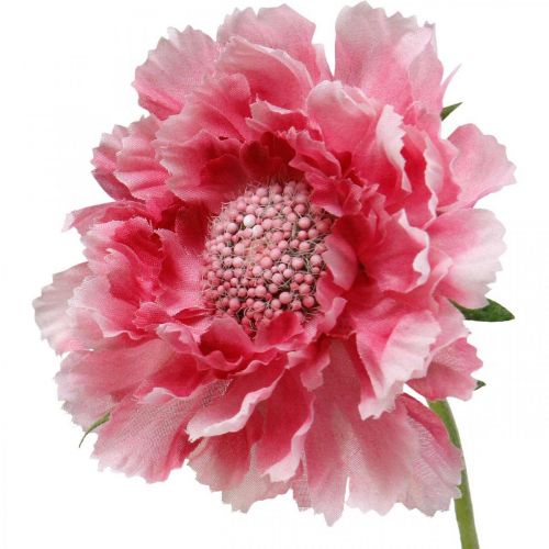 Artículo Decoración de flores artificiales, escabiosa flor artificial rosa 64cm paquete de 3 piezas