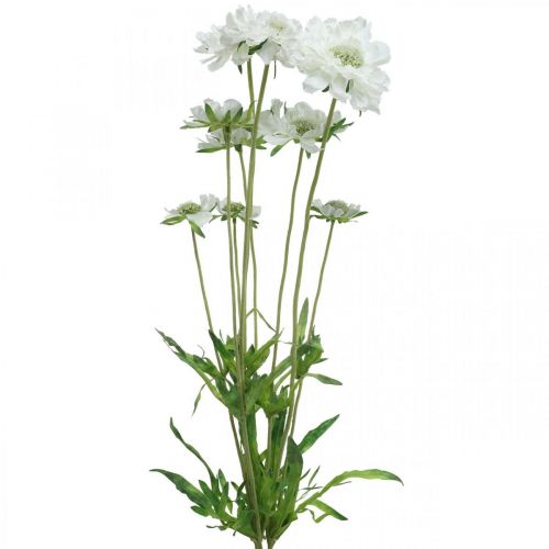 Artículo Flor artificial Scabiosa flor de jardín blanca Al. 64 cm manojo con 3 piezas
