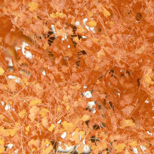 Artículo Flores artificiales de milenrama Achillea artificial naranja 30cm 6 uds