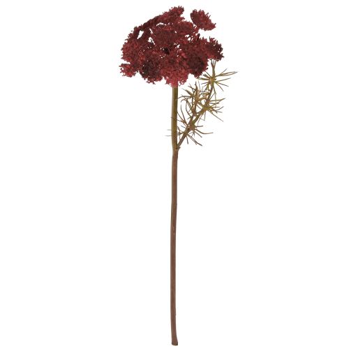Artículo Flores artificiales de milenrama roja Achillea artificial H30cm 6 piezas