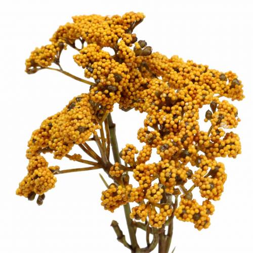 Floristik24 Milenrama amarillo artificial 74cm 3pcs