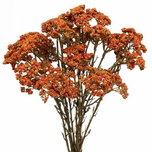 Milenrama naranja artificial 74cm 3pcs