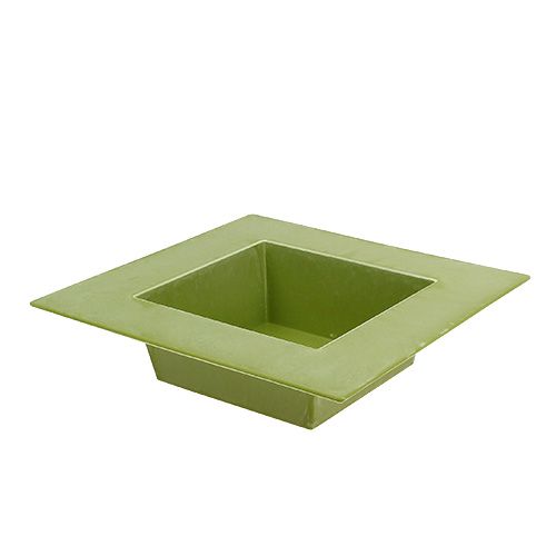 Floristik24 Cuenco angular verde claro 20cm x 20cm, 1p