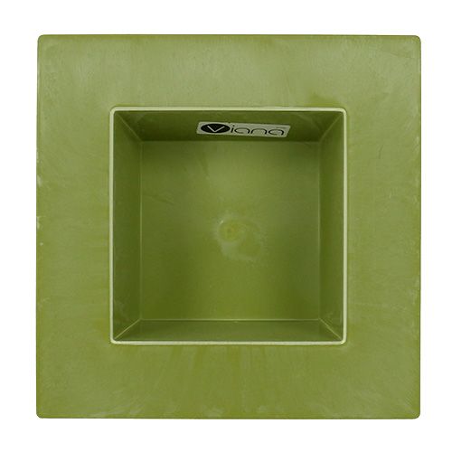 Floristik24 Cuenco angular verde claro 20cm x 20cm, 1p