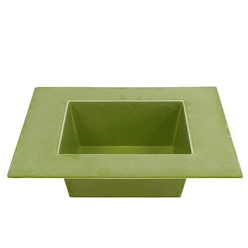 Floristik24 Cuenco angular verde claro 20cm x 20cm, 1p
