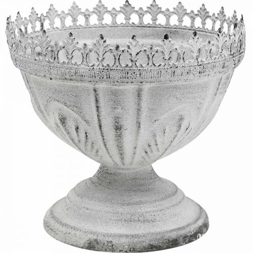 Floristik24 Trofeo decorativo cuenco decorativo de metal blanco con borde de corona Al. 15 cm