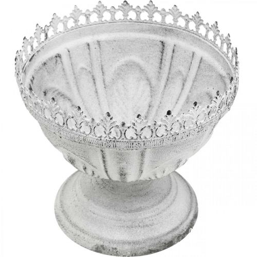 Floristik24 Trofeo decorativo cuenco decorativo de metal blanco con borde de corona Al. 15 cm