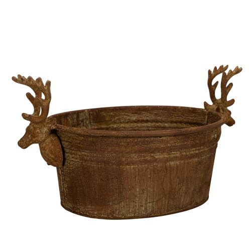 Bol decorativo con forma de cabeza de reno, ovalado, color óxido, estilo rústico, 41 cm. comprar | Floristik24.es