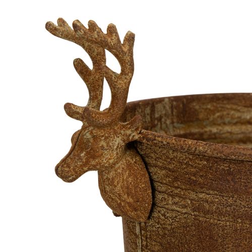 Bol decorativo con forma de cabeza de reno, ovalado, color óxido, estilo rústico, 41 cm. | Floristik24.es