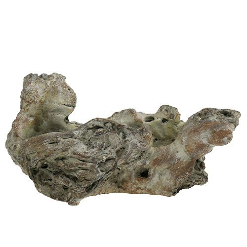 Floristik24 Cuenco raíz de madera 25.5cm x 14cm H11.5cm