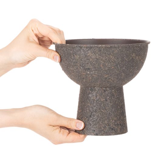 Maceta redonda con base, 18 cm | Floristik24.es