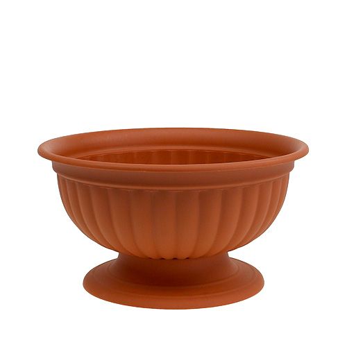 Floristik24 Cuenco con pie terracota Ø26cm