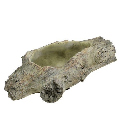 Floristik24 Tazón para plantar 30cm x 13cm H8.5cm