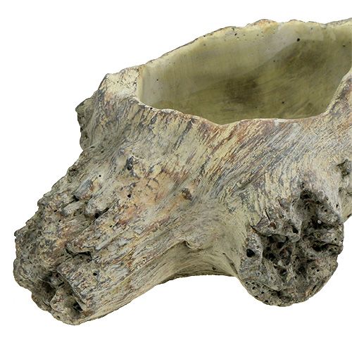 Floristik24 Tazón para plantar 30cm x 13cm H8.5cm
