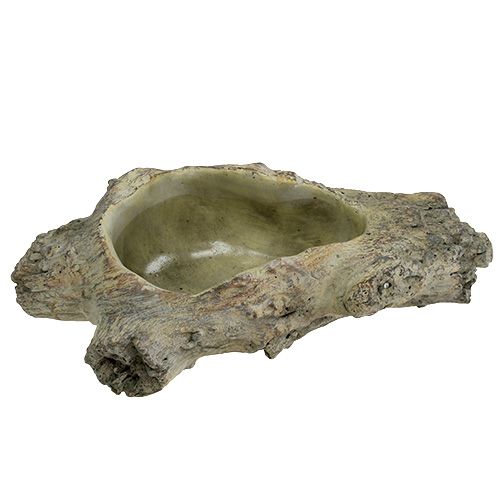 Floristik24 Tazón para plantar 30cm x 13cm H8.5cm
