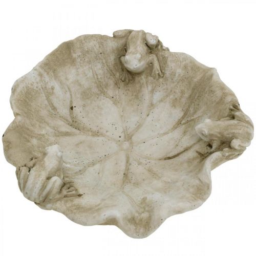 Artículo Baño para pájaros con ranas, figura de jardín de hormigón, baño para pájaros hoja de loto W21cm H7cm