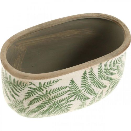 Floristik24 Cuenco para plantas helecho gres maceta de cerámica ovalada 20×10×13,5cm 2uds