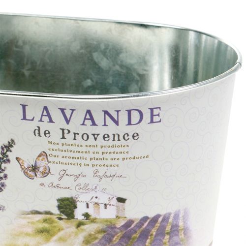 Floristik24 Plato de siembra Lavanda ovalada 22.5cm x 13.5cm H11cm