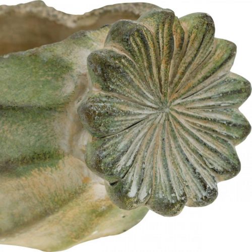 Floristik24 Cápsula de amapola decorativa, jardinera de hormigón, macetero, decoración de tumbas L26cm