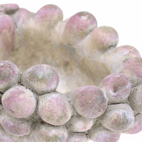 Floristik24 Cuenco decorativo uvas gris violeta crema 19×14cm H9.5cm