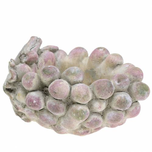 Floristik24 Cuenco decorativo uvas gris violeta crema 19×14cm H9.5cm