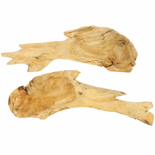 Floristik24 Tazón de madera burl 50cm x 17cm H8cm