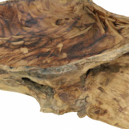 Floristik24 Cuenco de madera de burl flameado 70cm x 27cm H12cm