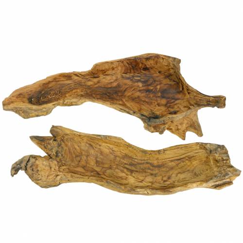 Floristik24 Cuenco de madera de burl flameado 70cm x 27cm H12cm