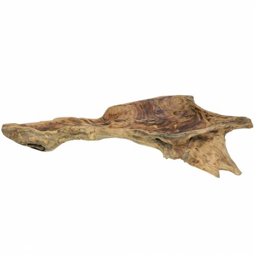 Floristik24 Cuenco de madera de burl flameado 70cm x 27cm H12cm
