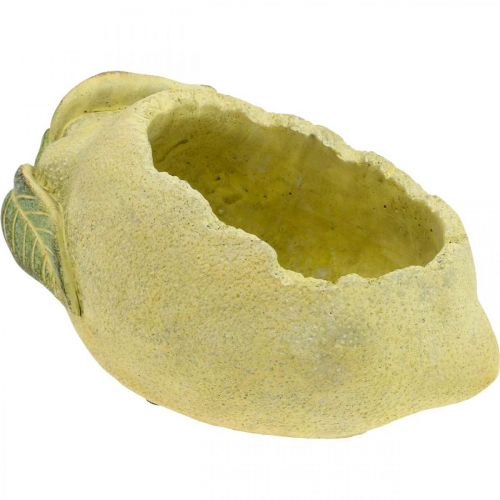 Floristik24 Macetero, limón para plantar, decoración mediterránea de hormigón L22cm