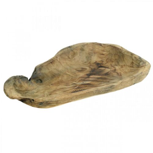Floristik24 Cuenco decorativo madera de Paulownia, decoración de mesa, jardinera L34cm H5cm