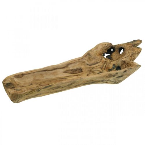 Floristik24 Cuenco decorativo Madera de Paulownia, bandeja de flores, recipiente de madera L58cm H7–8cm